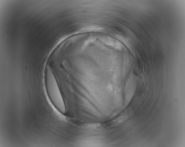 X0000068741055200605121539