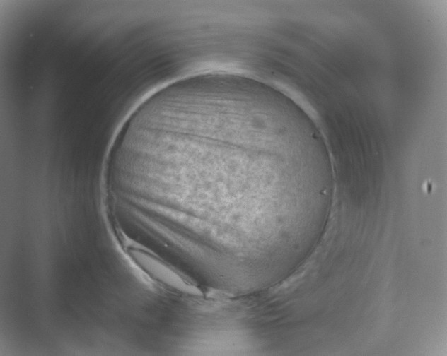 X0000068741056200605121539