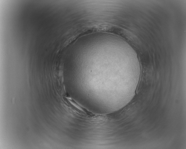 X0000068741058200605121538