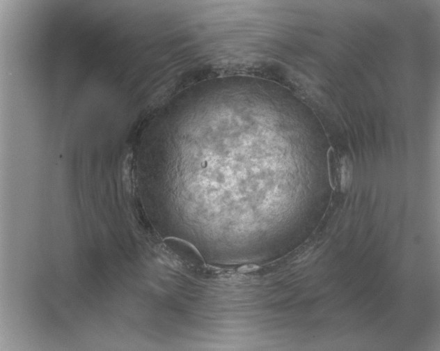 X0000068741059200605121538