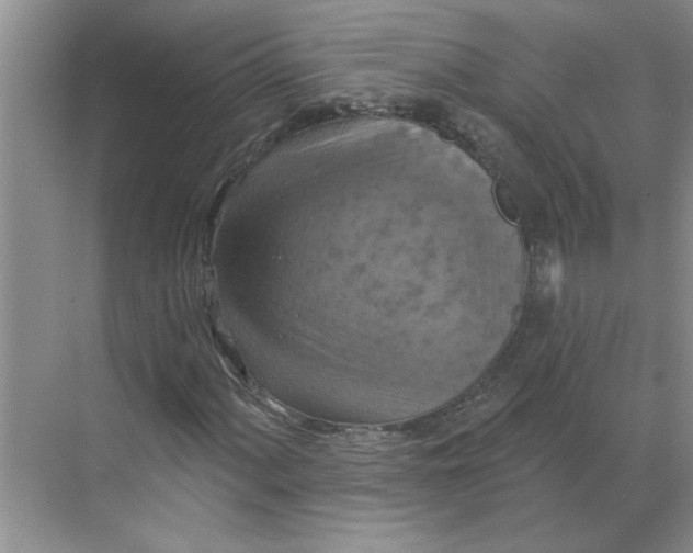 X0000068741060200605121538