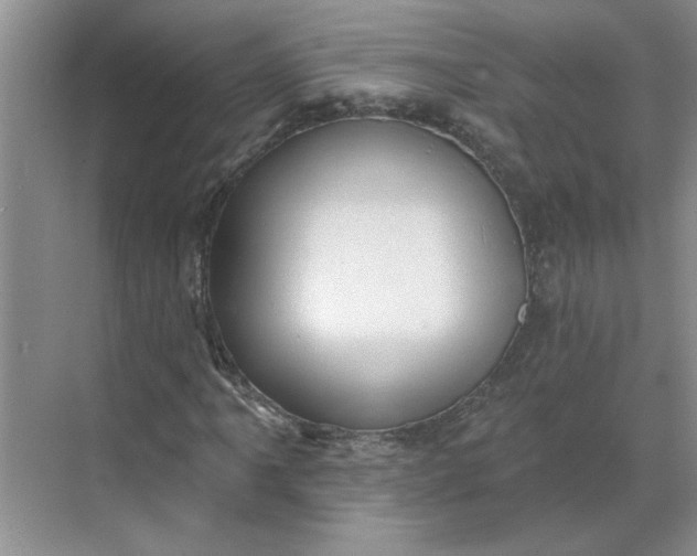 X0000068741061200605121538