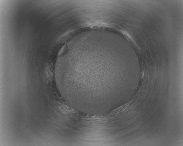 X0000068741063200605121538