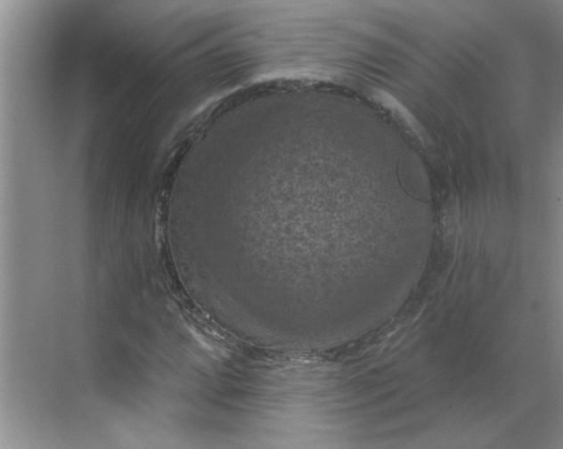 X0000068741064200605121538