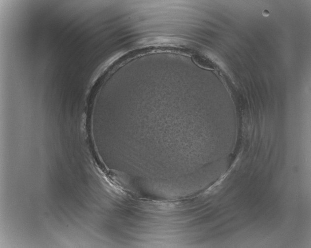 X0000068741066200605121538