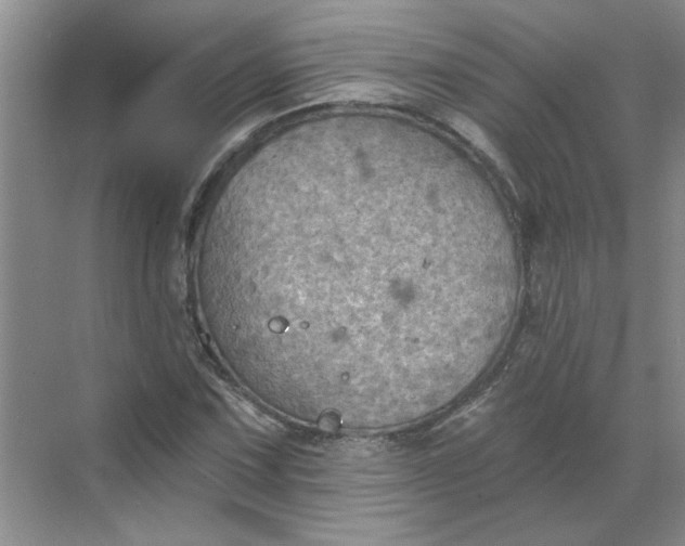 X0000068741067200605121538