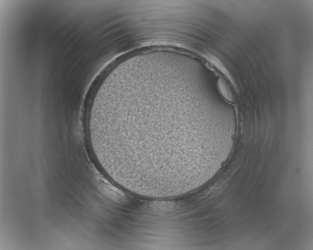 X0000068741068200605121538