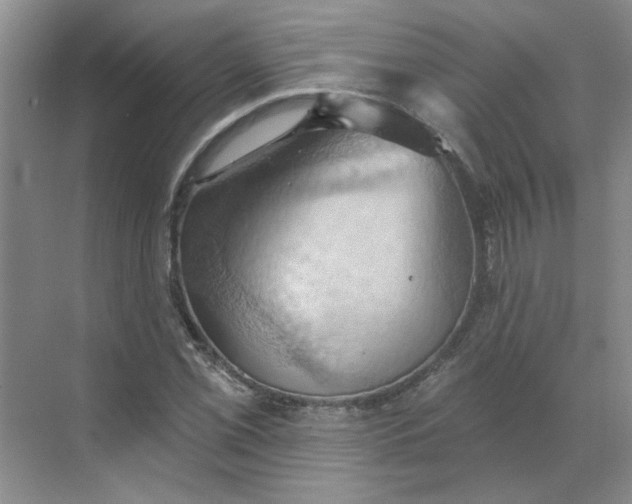 X0000068741069200605121538