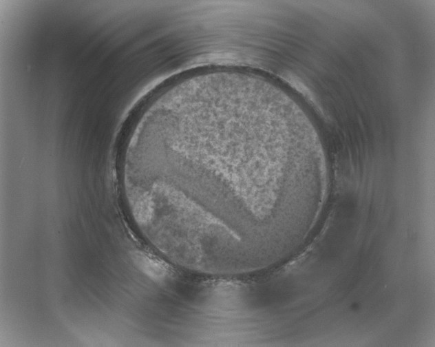 X0000068741070200605121538