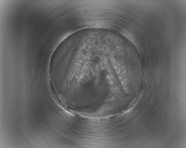 X0000068741071200605121538