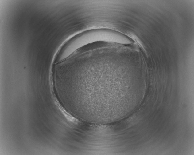 X0000068741072200605121538