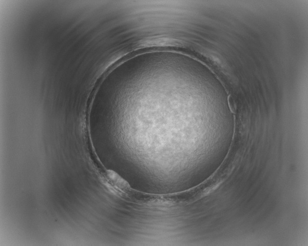 X0000068741073200605121538