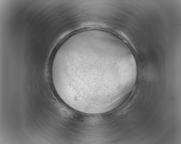 X0000068741074200605121538