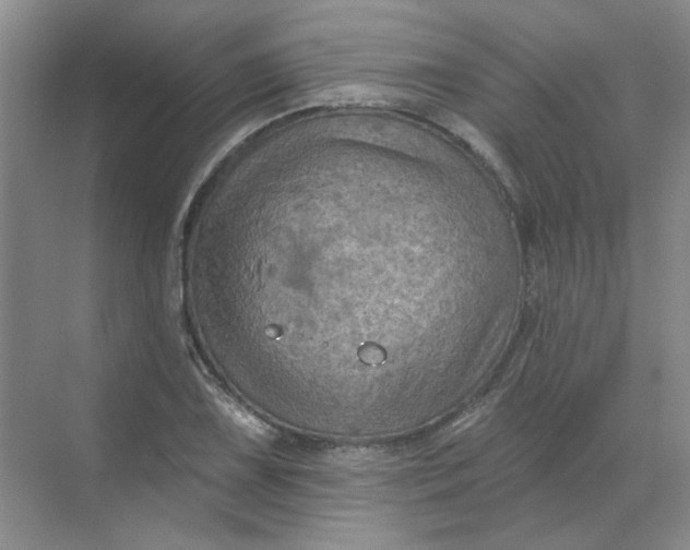 X0000068741075200605121538