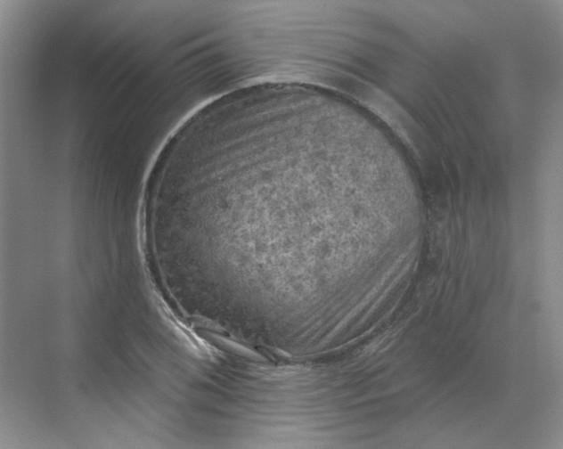 X0000068741076200605121538