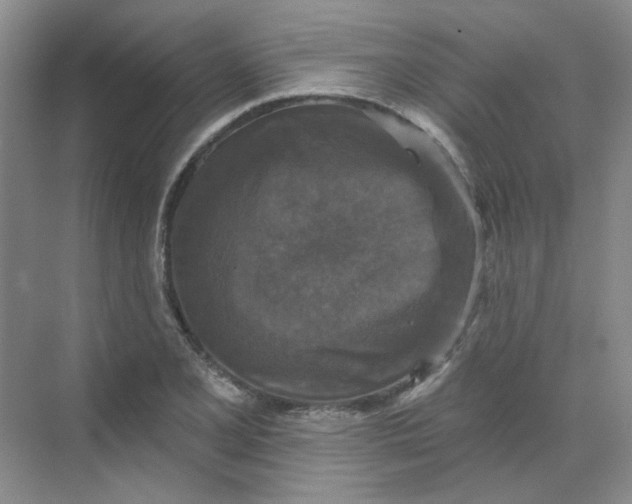 X0000068741077200605121538