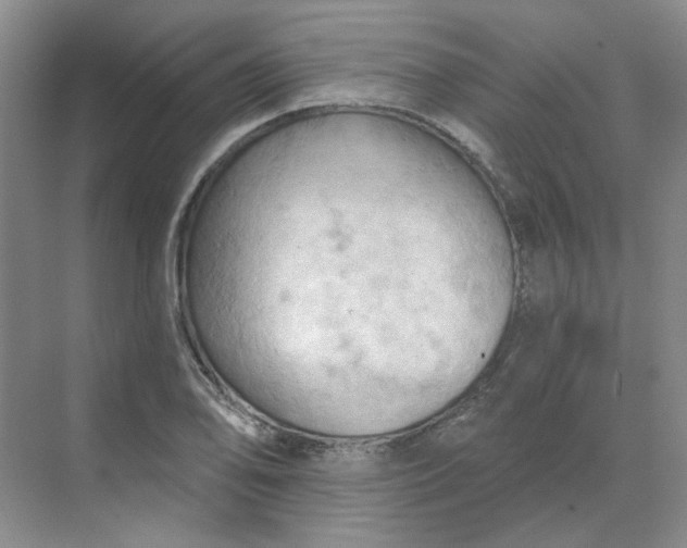 X0000068741078200605121538