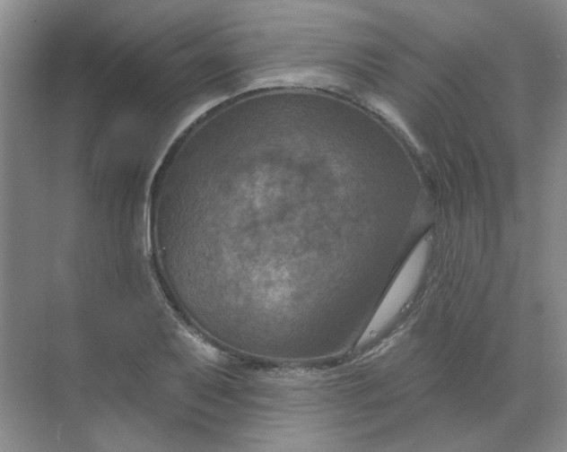 X0000068741079200605121538