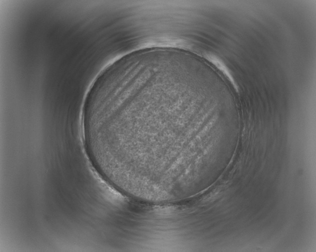 X0000068741080200605121538