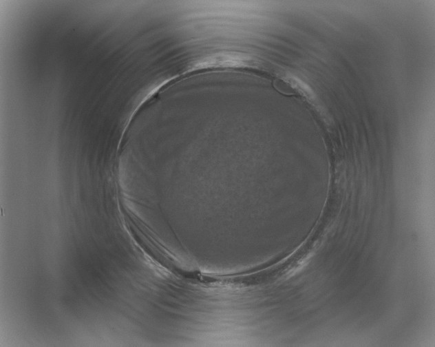 X0000068741081200605121538