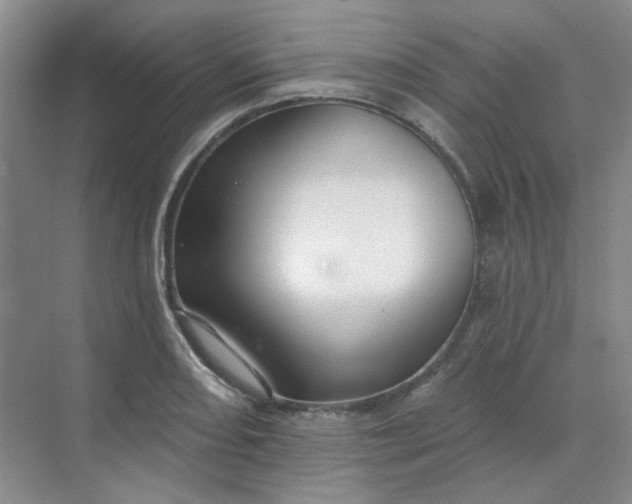 X0000068741082200605121538