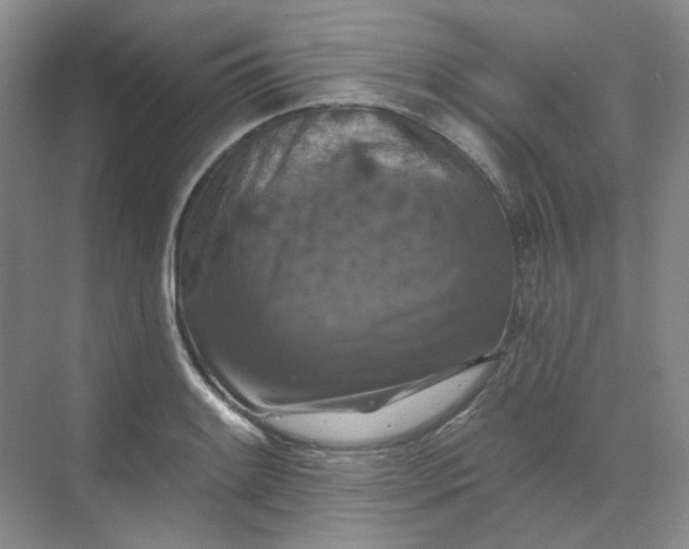 X0000068741084200605121538