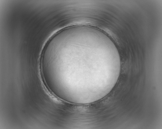 X0000068741086200605121538