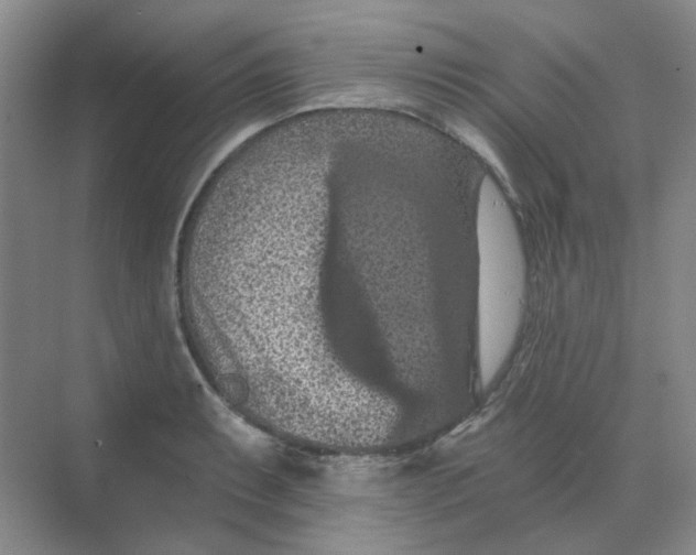 X0000068741087200605121538