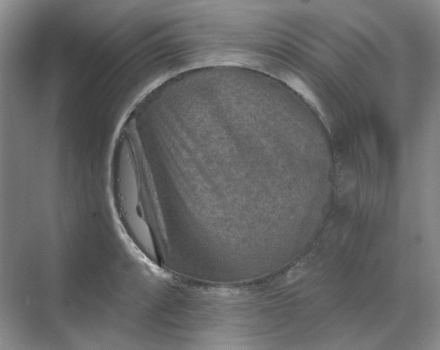 X0000068741088200605121538