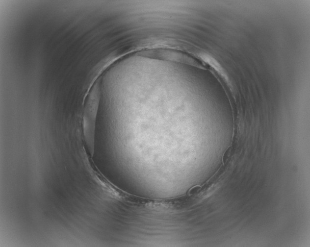 X0000068741089200605121537