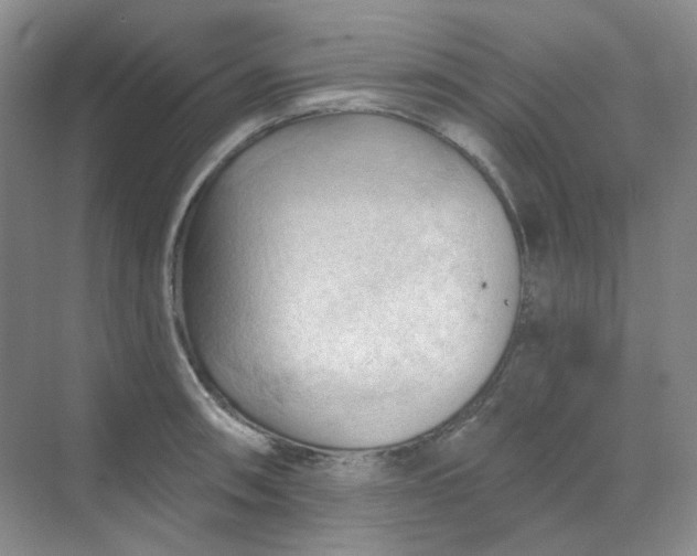 X0000068741090200605121537