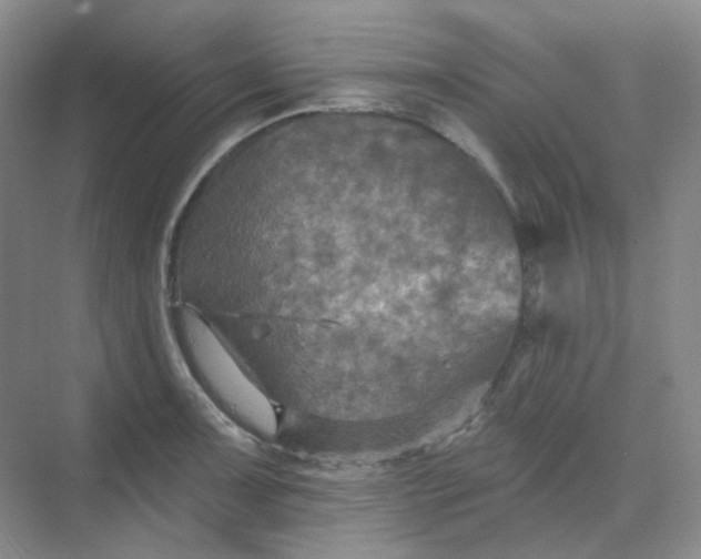 X0000068741091200605121537