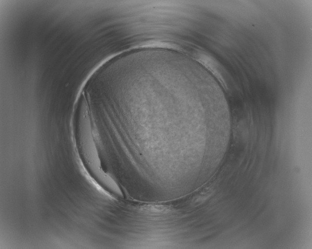 X0000068741092200605121537