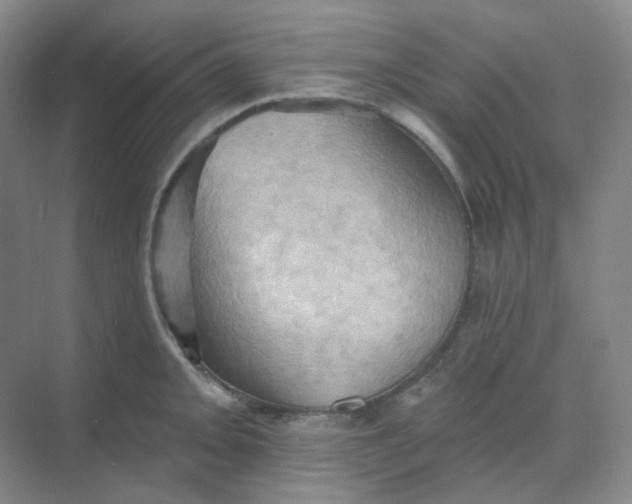 X0000068741093200605121537