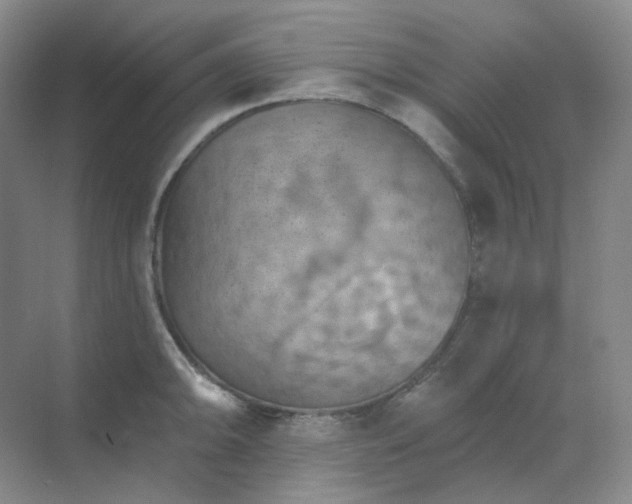 X0000068741094200605121537