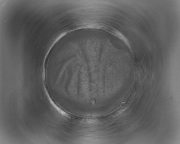 X0000068741095200605121537