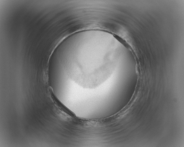 X0000068741097200605121537