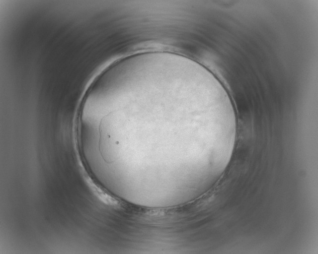 X0000068741098200605121537