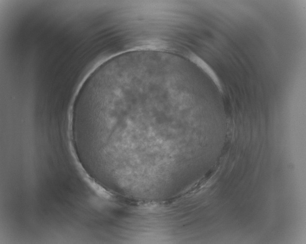 X0000068741099200605121537