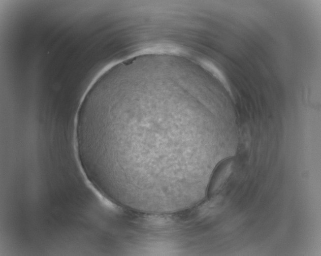 X0000068741103200605121537