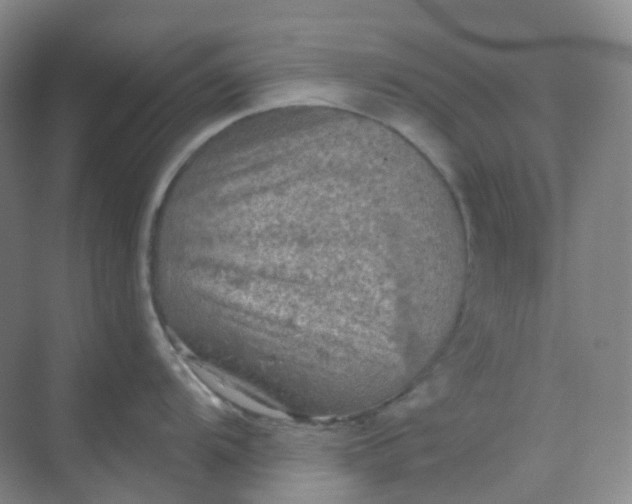 X0000068741104200605121537