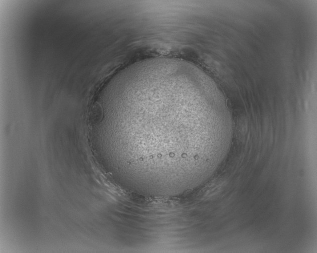 X0000068741105200605121536