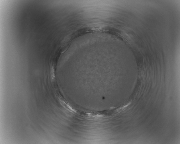 X0000068741106200605121536