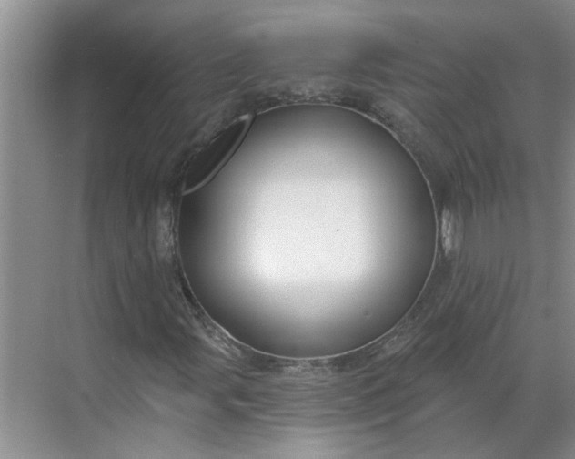 X0000068741107200605121536