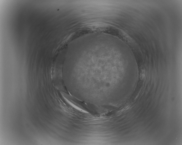 X0000068741108200605121536