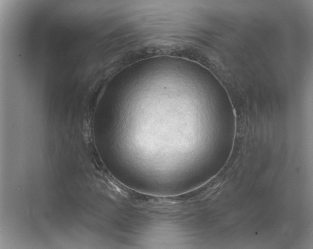 X0000068741109200605121536