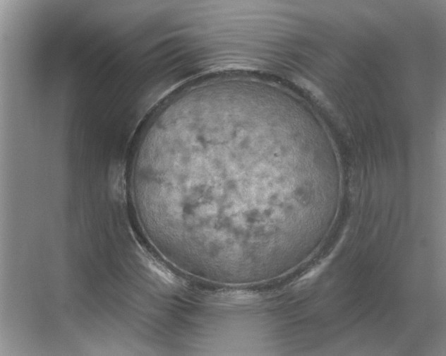 X0000068741113200605121537