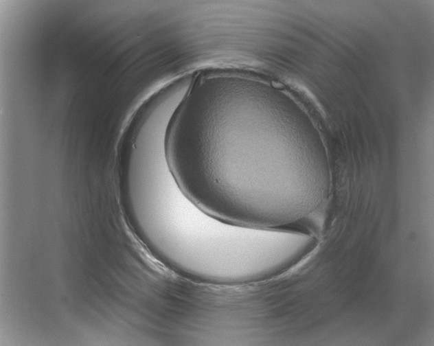 X0000068741114200605121537