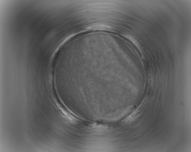 X0000068741115200605121537