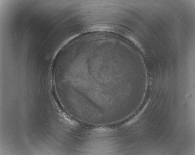 X0000068741117200605121537